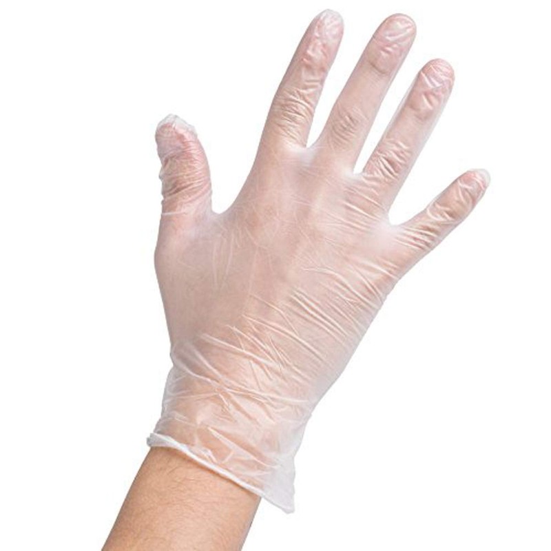 12 x Large Powder Free Vinyl Gloves