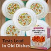Lead Testing Kit - Lead Paint Test - 30 Test