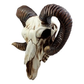 Ebros Large Bighorn Ram Skull Wall Decor 11.25" Wide Hanging Sculpture Plaque Wild Beast Trophy Figurine