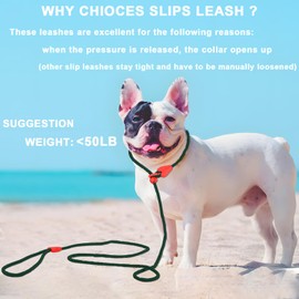 Slip Lead for Dogs Dog Leash Dog Leash for Small Medium Dogs Puppy Leash 6FT 6 Colors Strong Nylon Dog Training Leash No Pull Rope (Green)