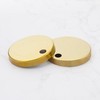 LT Easiyl Toilet Seat Hinge Cover 60mm Hinge Fixings 304