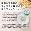 withmoon Ferritin Iron Supplement (Natural Type), Set of 3