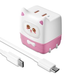 GOLDNEXT 47W PD Charger, 2 Ports, Type C / USB-C Rapid Charger, Uses GaN III, Type C Charger, PPS Compliant / PSE Technical Standards Compliant, Cat Type, Fast Charger, Foldable Plug, 4 Types of