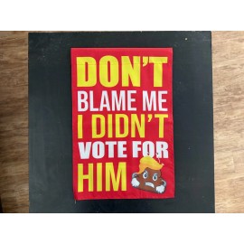 DONT BLAME ME I DIDNT  VOTE FOR HIM TRUMP TURD 12x18” Garden Flag YARD SIGN FLAG