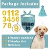 Dog Birthday Bandana Set, Blue Birthday Boy Decorations, HBD Party