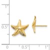 Solid 14k Yellow Gold Starfish Post Studs Earrings (11mm x