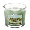 Colonial Candle Bayberry Scented Jar Candle, 2 Wick, 3.5 oz,