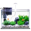 3 Gallon Glass Small Fish Tank, Betta Fish Tank Starter