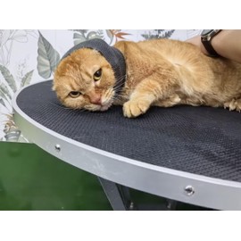 DDFS Cat Hematoma Ear Wrap 6 Pack Head Cover Keep Calm Comfort Anti Anxiety Relief Snood for Cats Grey S