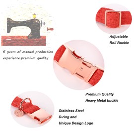 DOGWONG Orange Dog Collars and Lead, Comfortable Adjustable Dog Collar for Small and Medium Dogs