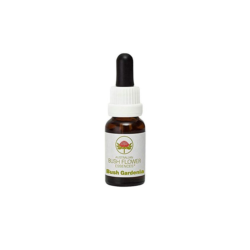 Bush Gardenia 15 ml Stockbottle Australian Bush Flower Essences