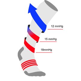 Thorlo Experia Men's Compression Over the Calf Socks, White, Medium