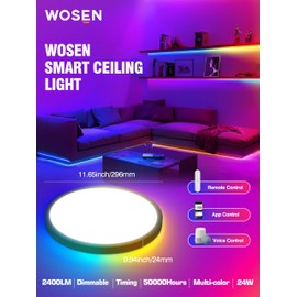 1 Pack 12 Inch RGB LED Flush Mount Smart Ceiling Light with Night Light 2700K, 24W 2400LM Ultra-Slim Ceiling Light Fixture with Remote, 16 Million DIY Colors, Compatible with Alexa/Google Assistant
