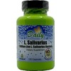 Daily Manufacturing L-Salivarius (Probiotic) 120 Delayed-Release Capsules