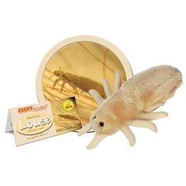 Giant Microbes Louse Plush – Learn About Lice and How to Treat Them, Fun Educational Gift for Family, Friends Doctors, Nurses, Scientists, Insect Lovers and All with a Healthy Sense of Humor