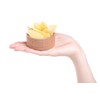 US Snacks - Dried Crystallized Ginger Slices in Resealable Bag
