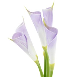 Angel Isabella Real Touch Calla Lily, Lifelike Artificial Flowers, Realistic Fake Flower, Perfect for Home & Wedding Decoration, Centerpieces, Bouquets, Wreath Arrangements - Pack of 6 (Soft Lavender)