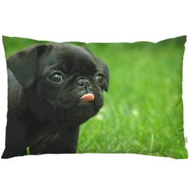 EKOBLA Throw Pillow Cover Cute Pug Dog Animal Black Puppy Dog Funny Design Big Eyes Lovely Face Portrait Lawn Decor Lumbar Pillow Case Cushion for Sofa Couch Bed Standard Queen Size 20x30 Inch