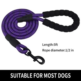Panykoo 5/6 FT Strong Pet Dog Leash with Soft Padded Handle,Highly Reflective Rope for Night Walking,360-Degree Rotating Metal Buckle Without Tangles,Suitable for Small,Medium and Large Dogs.(5ft)