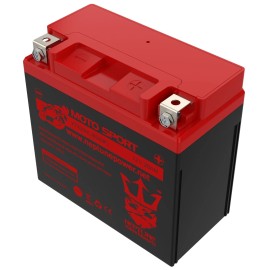 Neptune YTX20L-BS / YTX20HL-BS High Performance Battery for Harley Davidson