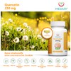 Quercetin 500 mg Per 2 Capsules Daily Doses | Flower