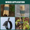 Bliceon Tree Binder, 50 m Tree Attachment Tying Tape, Green
