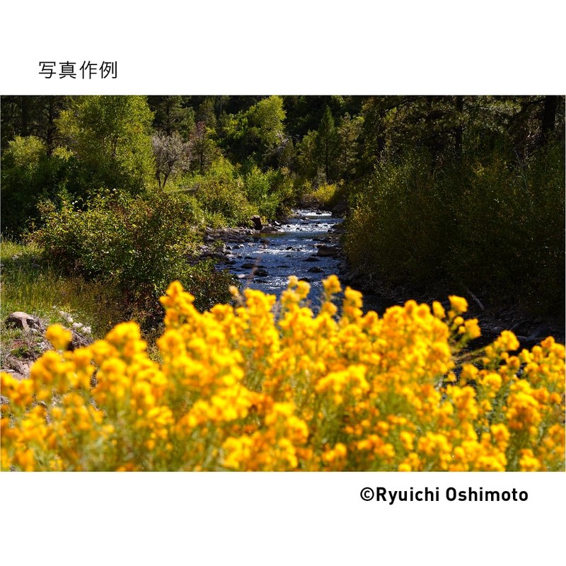 28-70mm F2.8 DG DN SEマウント用 ブラック