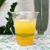 World Centric Compostable Cups 12 oz - Clear Cold Cups