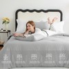 CozyLux Light Grey Comforter Set King Size, 3 Pieces Solid