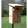 Kettle Moraine Copper Portal for Eastern Bluebird Bird Houses Predator