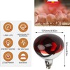 2 Pack 275W Infrared Heat Bulbs Red Heat Lamp Glass
