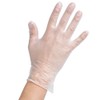 Gloveman GL6623_1 Vinyl Gloves, Powder Free, Large (Pack of 100),