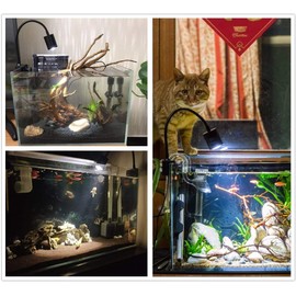 NILIPAL LED Aquarium Light - Freshwater Fish Tank Light Vivarium Terrarium Spotlight 3 Colors 3000K 4000K 6000K Cool Warm White for Planted Fish Tank (3 Colors)