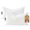 BPC 12x20 Down Feather Lumbar Pillow Inserts Set of 2,