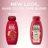 Garnier Whole Blends Color Care Conditioner, Argan Oil & Cranberry