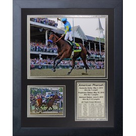 Legends Never Die American Pharaoh 2015 Triple Crown Winner Framed Photo Collage, 11" X 14"