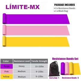 Límite-MX Bandas de Resistencia, Ligas Elásticas Multifuncionales, Juego de Bandas Elásticas para Ejercicio, Entrenamiento en Hogar Gimnasio o Exterio