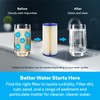 SpiroPure SP-S1-BB 10x4.5 20 Micron Pleated Polyester Sediment Water Filter