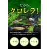 O-O-(ｵｰｵｰ) 観賞魚用 クロレラ 100粒 20g 錠剤タイプ 金魚 メダカ シュリンプ 餌