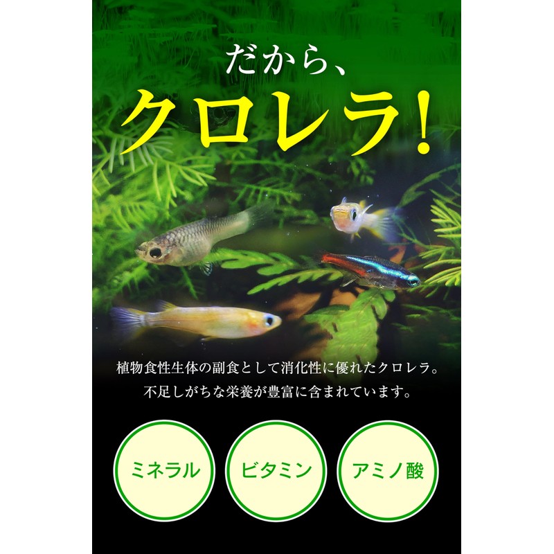 O-O-(ｵｰｵｰ) 観賞魚用 クロレラ 100粒 20g 錠剤タイプ 金魚 メダカ シュリンプ 餌