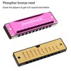 Harmonica, Harmonica Holder Set, 10 Holes Harmonica Diatonic Blues Harmonica