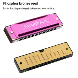 Harmonica, Harmonica Holder Set, 10 Holes Harmonica Diatonic Blues Harmonica Key of C, Adjustable Professional Harmonica Holder Neck For Beginner, Students, Adult, Friends, Gift Update Pink