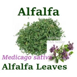 majcka4 Alfalfa hojas 1 LIBRA Medicago sativa Hierbas Alfalfa Leaves 16 oz Herbs