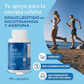 B-FIT B NAD - 500mg de Nicotinamida Adenina Dinucletido por Porcin - 90 Cpsulas Vegano - Suplemento Alimenticio                                       