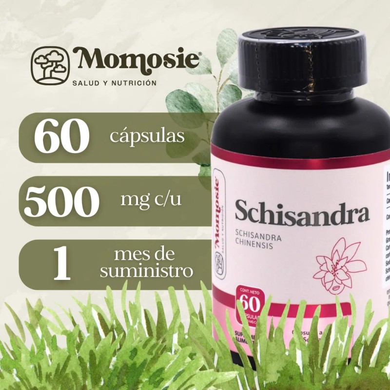 Schisandra 60 Cápsulas De 500 Mg | Dura 1 Mes