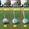 BIRDIE79 Birdie Liner Black Golf Ball Marker Alignment Tool Kit