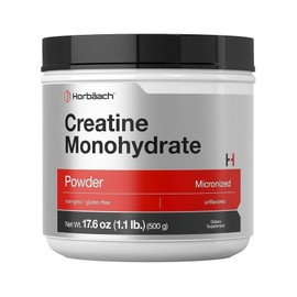 Horbaach Creatine Monohydrate Powder 500g, 1 pack / Horbaach 호바흐 크레아틴 모노하이드레이트 파우더 500g, 1개