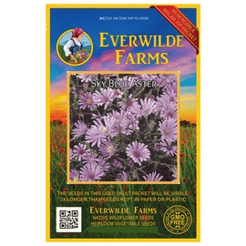 Everwilde Farms - 500 Sky Blue Aster Native Wildflower Seeds - Gold Vault Jumbo Seed Packet