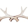 Wowser Rustic Deer Antler Wall Mounted Hook Rack - 14.75