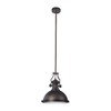 Hardware House 210942 1 Mini Pendant Light Fixture with English